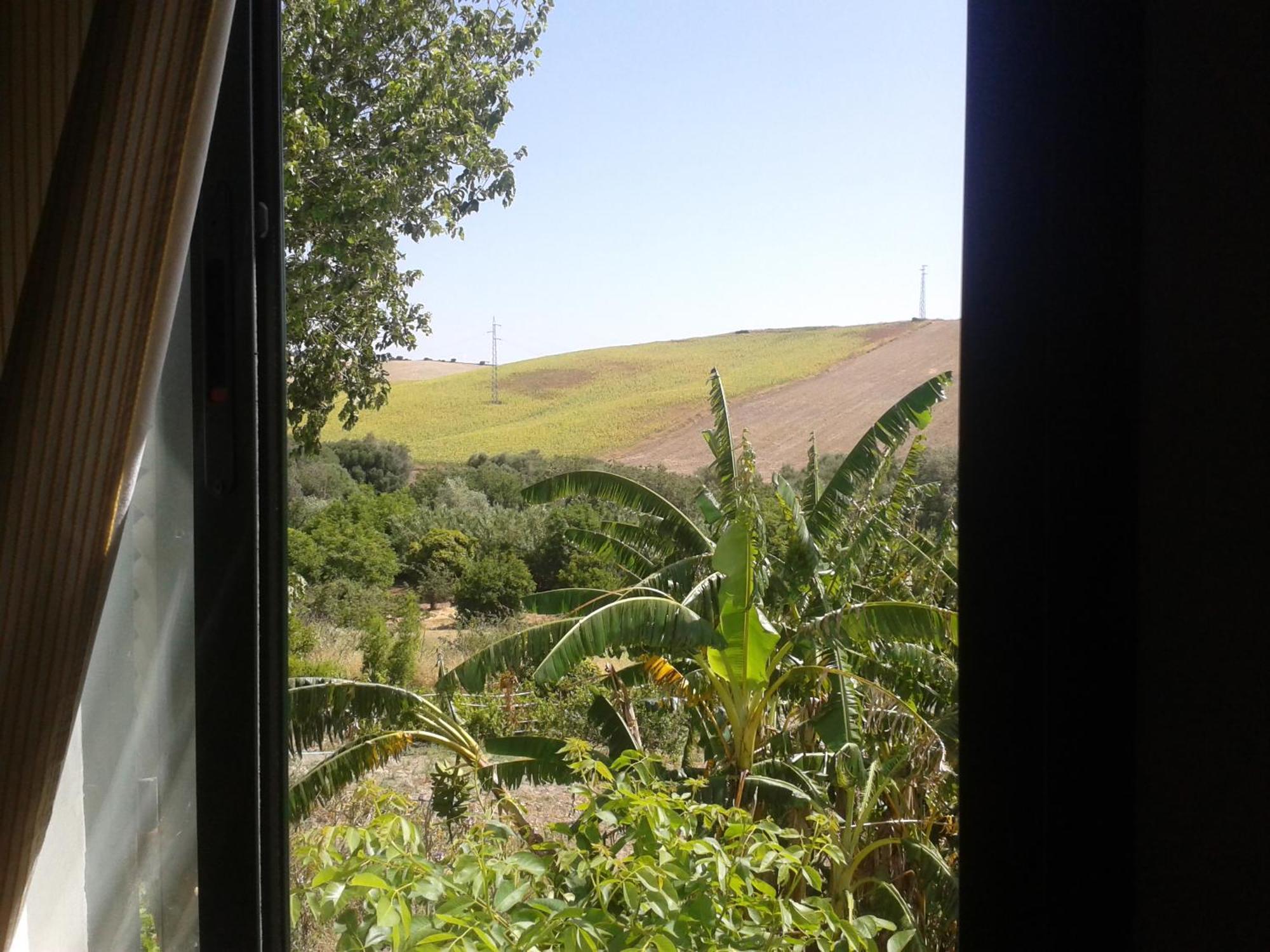 Casa Rural El Cubillo Vejer de la Frontera Buitenkant foto