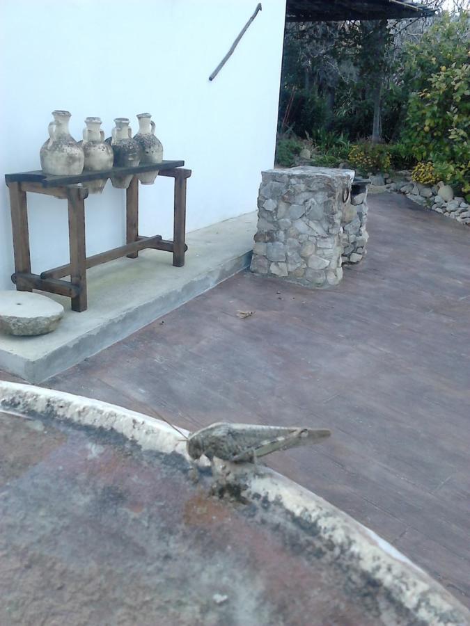 Casa Rural El Cubillo Vejer de la Frontera Buitenkant foto